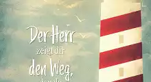 Thumb 8